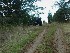 On the trail